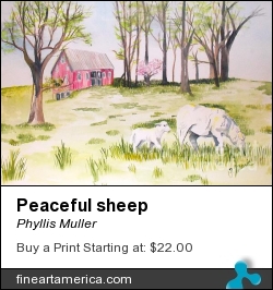 Peaceful Sheep by Phyllis Muller - Painting - Watercolor