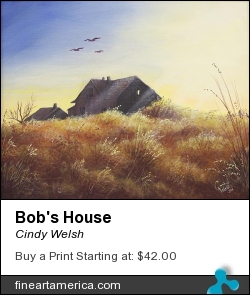 Bob's House by Cindy Welsh - Painting - Acrylic On Canvas Board