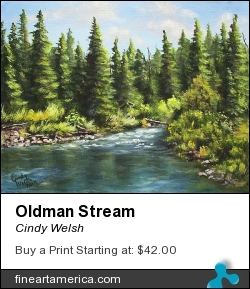 Oldman Stream by Cindy Welsh - Painting