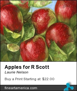 Apples For R Scott by Laurie Nelson - Painting - Watercolor