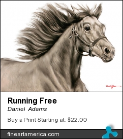 Running Free by Daniel Adams - Painting - Drawing