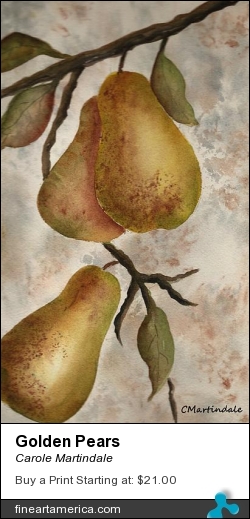 Golden Pears by Carole Martindale - Painting - Watercolor On Watercolor Paper
