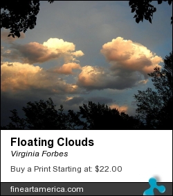 Floating Clouds by Virginia Forbes - Photograph - Photograph