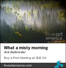 What A Misty Morning by Arik Baltinester - Photograph - Photo Print