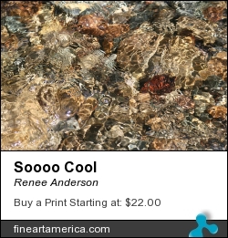 Soooo Cool by Renee Anderson - Photograph - Digital Images
