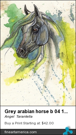 Grey Arabian Horse B 04 11 2013 by Angel  Tarantella - Painting - Ink And Watercolors