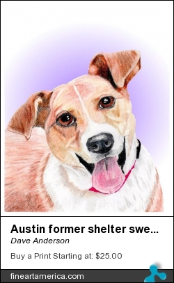 Austin Former Shelter Sweetie by Dave Anderson - Mixed Media - Graphite-digital