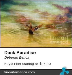 Duck Paradise by Deborah Benoit - Photograph - Original Art By Deborah Benoit