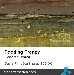 Feeding Frenzy by Deborah Benoit - Photograph - Original Photography By Deborah Benoit