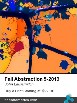Fall Abstraction 5-2013 by John Lautermilch - Digital Art - Digital Art