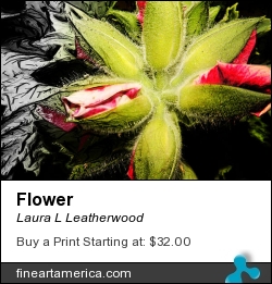 Flower by Laura L Leatherwood - Digital Art - Digital Art