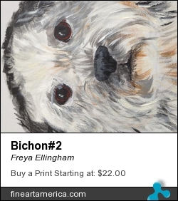 Bichon#2 by Freya Ellingham - Painting - Acrylic On Canvas