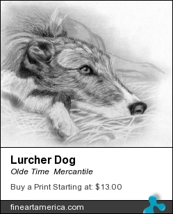 Lurcher Dog by Olde Time  Mercantile - Drawing - Pencil