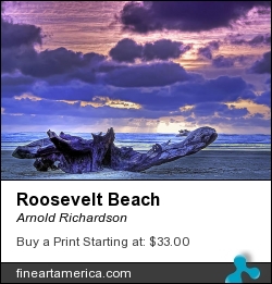 Roosevelt Beach by Arnold Richardson - Photograph