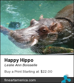 Happy Hippo by Leslie Ann Boisselle - Photograph - Photography