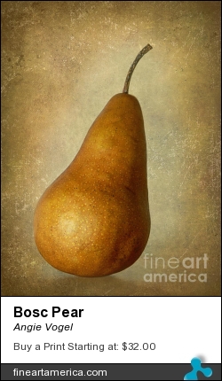 Bosc Pear by Angie Vogel - Photograph - Photography / Digital Art