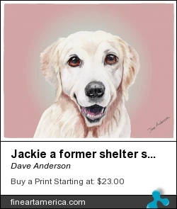 Jackie A Former Shelter Sweetie by Dave Anderson - Mixed Media - Graphite-digital