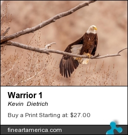 Warrior 1 by Kevin  Dietrich - Photograph - Photograph
