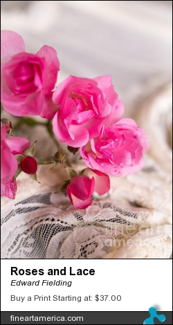 Roses And Lace by Edward Fielding - Photograph - Photography