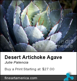 Desert Artichoke Agave by Julie Palencia - Photograph - Photography