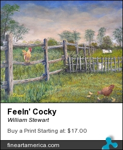 Feeln' Cocky by William Stewart - Painting - Aqrylic