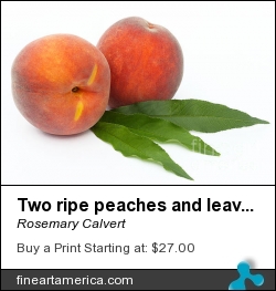 Two Ripe Peaches And Leaves by Rosemary Calvert - Photograph - Photography