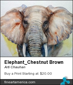 Elephant_chestnut Brown by Arti Chauhan - Painting - Watercolour On Paper