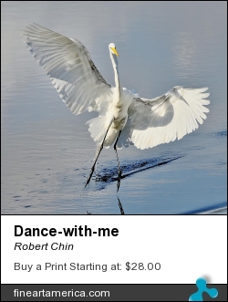 Dance-with-me by Robert Chin - Photograph - Photographs