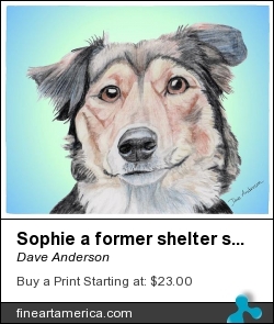 Sophie A Former Shelter Sweetie by Dave Anderson - Mixed Media