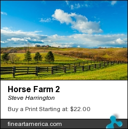Horse Farm 2 by Steve Harrington - Photograph - Photography