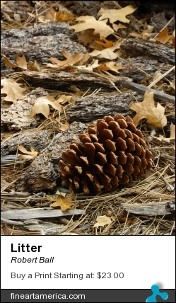 Litter by Robert Ball - Photograph - Photography