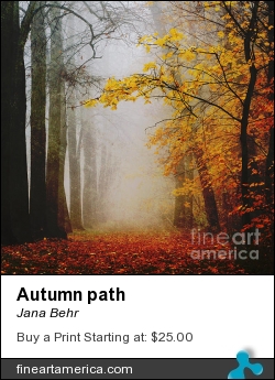 Autumn Path by Jana Behr - Photograph - Photo