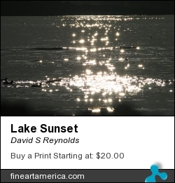 Lake Sunset by David S Reynolds - Photograph - Photography
