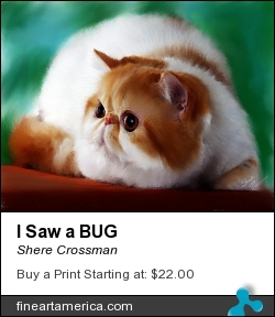 I Saw A Bug by Shere Crossman - Digital Art - Virtual Canvas