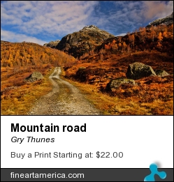 Mountain Road by Gry Thunes - Photograph