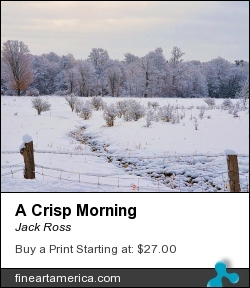 A Crisp Morning by Jack Ross - Photograph
