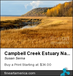 Campbell Creek Estuary Natural Area by Susan Serna - Photograph - Digital