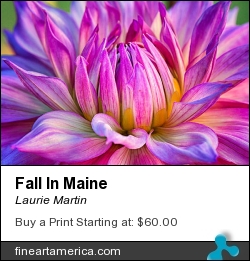 Fall In Maine by Laurie Martin - Photograph - Photography