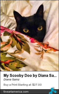 My Scooby Doo By Diana Sainz by Diana Sainz - Photograph - Photography - Digital Photography