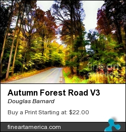 Autumn Forest Road V3 by Douglas Barnard - Photograph - Digitally Enhanced Photographs