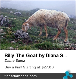 Billy The Goat By Diana Sainz by Diana Sainz - Photograph - Photography - Digital Photography