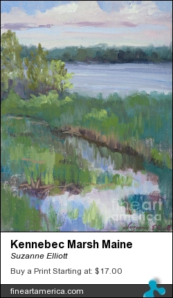 Kennebec Marsh Maine by Suzanne Elliott - Painting - Oil On Linen