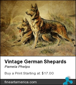 Vintage German Shepards by Pamela Phelps - Digital Art - Digital Art