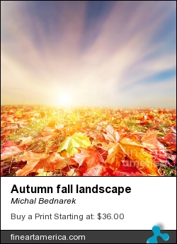 Autumn Fall Landscape by Michal Bednarek - Photograph