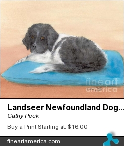 Landseer Newfoundland Dog Pup Pillow Cathy Peek Art by Cathy Peek - Painting - Acrylic Ink Watercolor