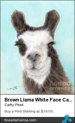 Brown Llama White Face Cathy Peek Farm Animal Art by Cathy Peek - Painting - Acrylic Ink Watercolor