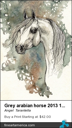 Grey Arabian Horse 2013 11 17 by Angel  Tarantella - Painting - Ink And Watercolors