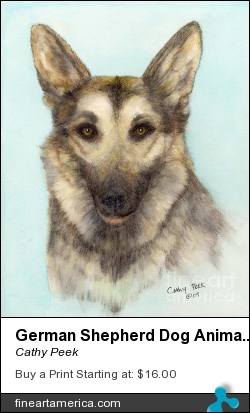 German Shepherd Dog Animal Art Portrait by Cathy Peek - Painting - Acrylic Ink Watercolor
