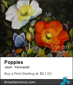 Poppies by Jean  Yanowski - Painting - Oil On Canvas