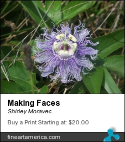 Making Faces by Shirley Moravec - Photograph - Photography